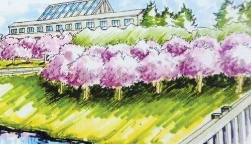 Cherry Tree Promenade Coming to White River State Park