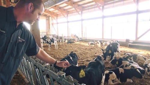 Hoosier Dairy Farms to Host Public Tours