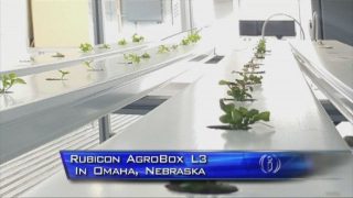 Rubicon Agriculture a Part of the Solution for Food Deserts