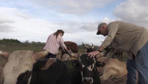 Video Aims to Bring Veterans Into Ag Careers