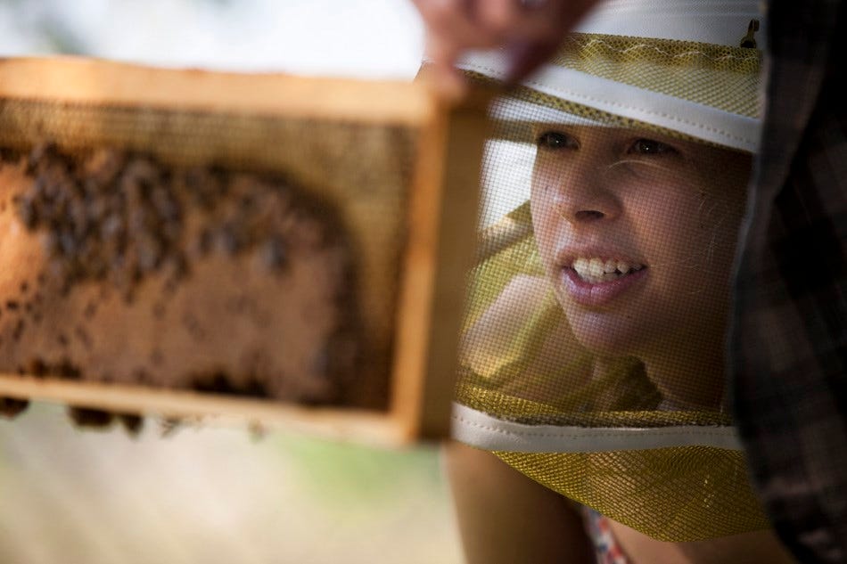 Bloomington Startup Swarms Beekeeping Industry