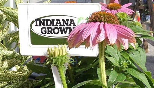 Indiana Grown Marking Second Anniversary