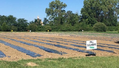 Finish Line Debuts On-Campus Farm