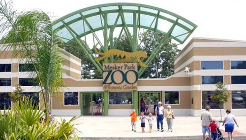 Mesker Park Zoo Names Lead Donors for Penguin Project