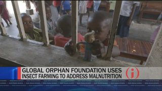 Inside the Global Orphan Foundation