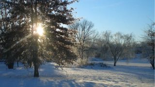 Taltree Arboretum & Gardens Winter