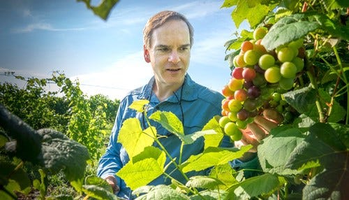 Federal Grant Supports Purdue-Based Wine Tech Developer
