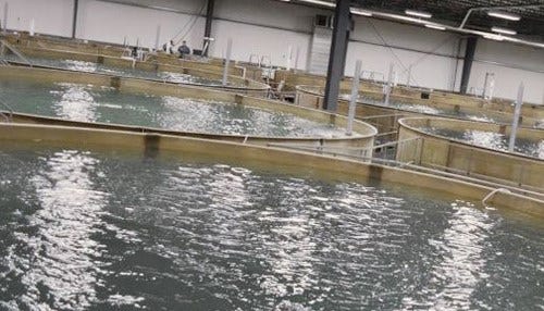 Production at Aquaculture Facility Moving Forward
