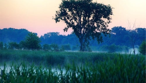 Little River Wetlands Project Adds Acreage