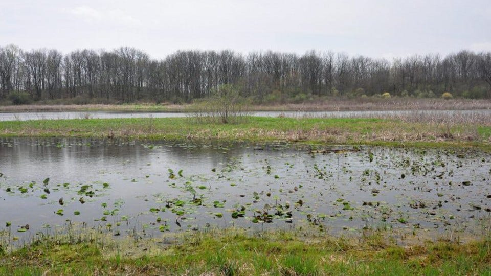 New Nature Preserve Approved for Steuben County