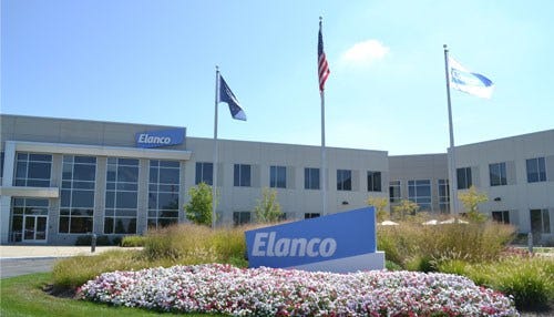 Elanco CEO: Growth in Targeted Categories