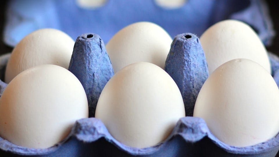 Online Egg Sales Debated in Indiana