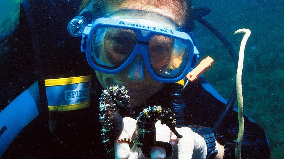 Seahorse Expert Wins 2020 Indianapolis Prize