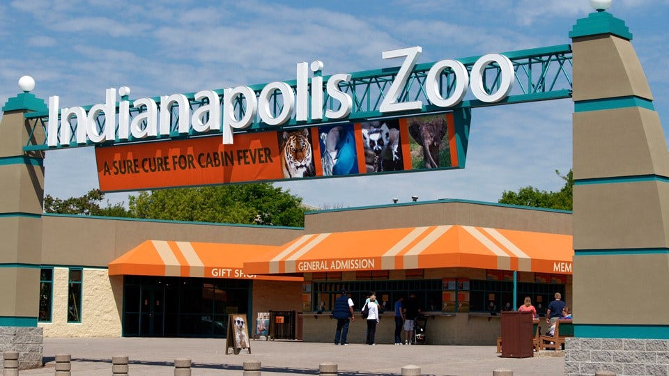 Indianapolis Zoo Preparing to Reopen