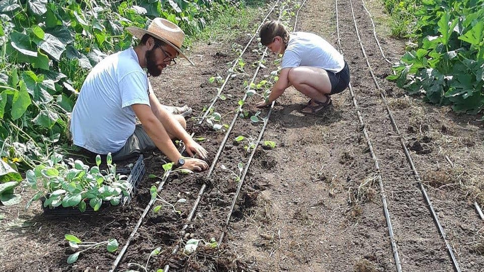 Growing Places Indy Launches Garden Program