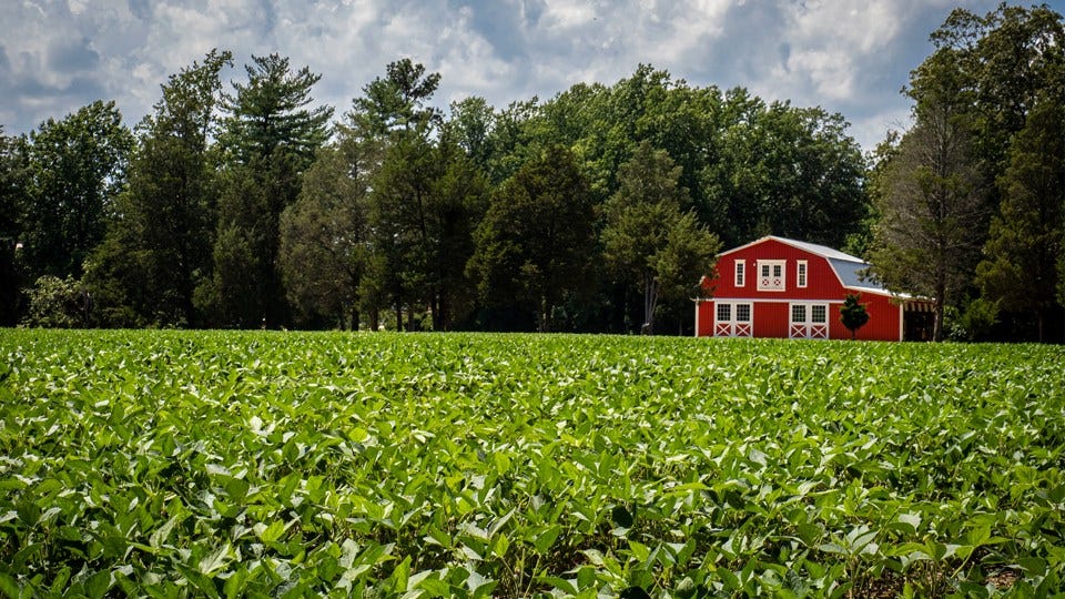 Indiana Farmland Increases in Value