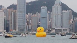 Mira: Mobile Tech Award Goes to Rubber Duck