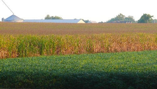 USDA Details Indiana Crop Loss