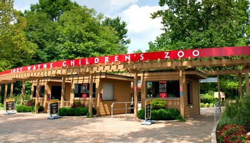 Record Attendance Caps Big Year at The Zoo