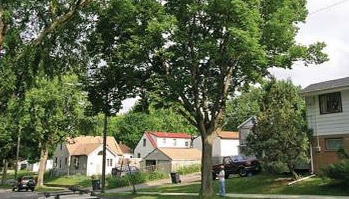 DNR Gives $135K for Urban Forest Programs