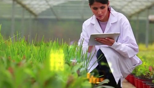 Study to Feed Ag Innovation Data Need