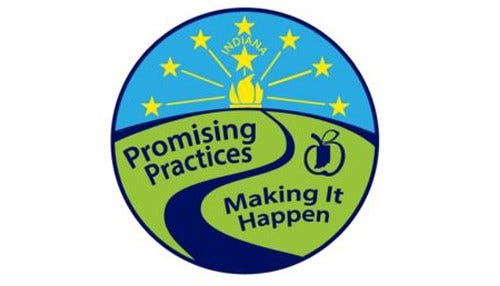 More Promising Practices Identified
