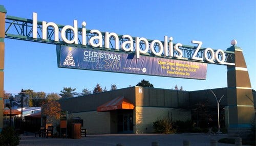 Indy Zoo to Expand