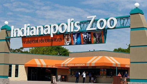 Indy Zoo Adds Leadership Role