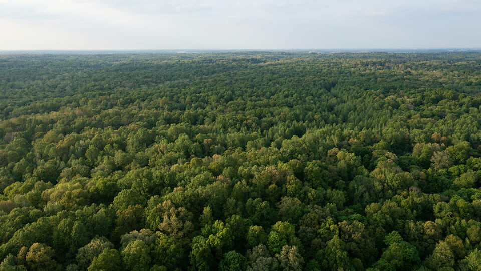 Conservation org secures major land purchase in Pike County