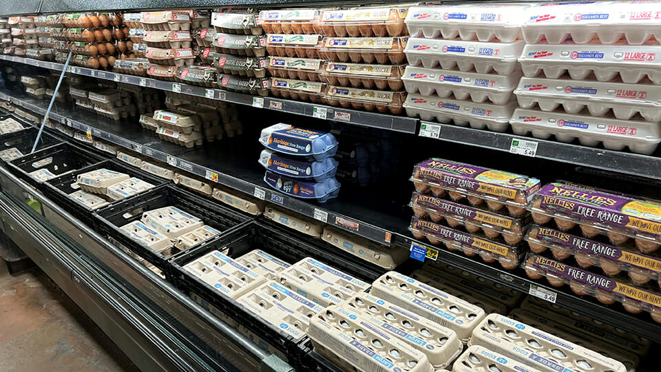 Producers hope to see decrease in egg prices this year